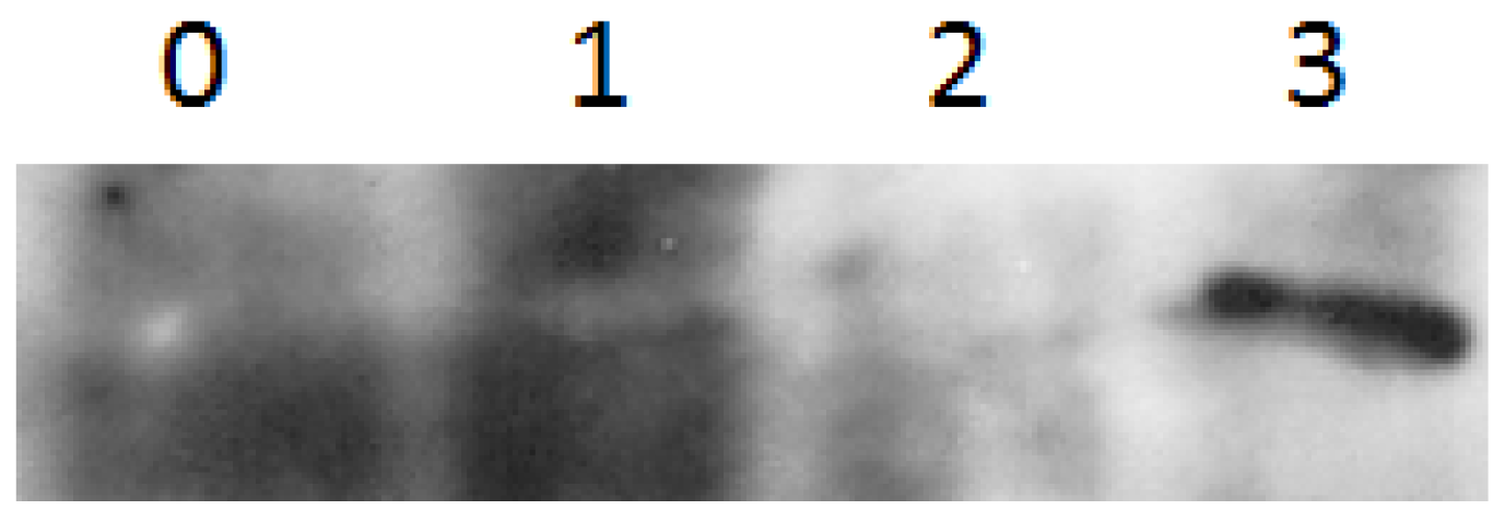 Molecules 18 02549 g001