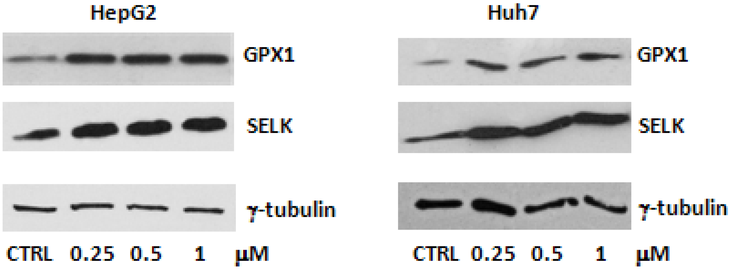 Molecules 18 02549 g002