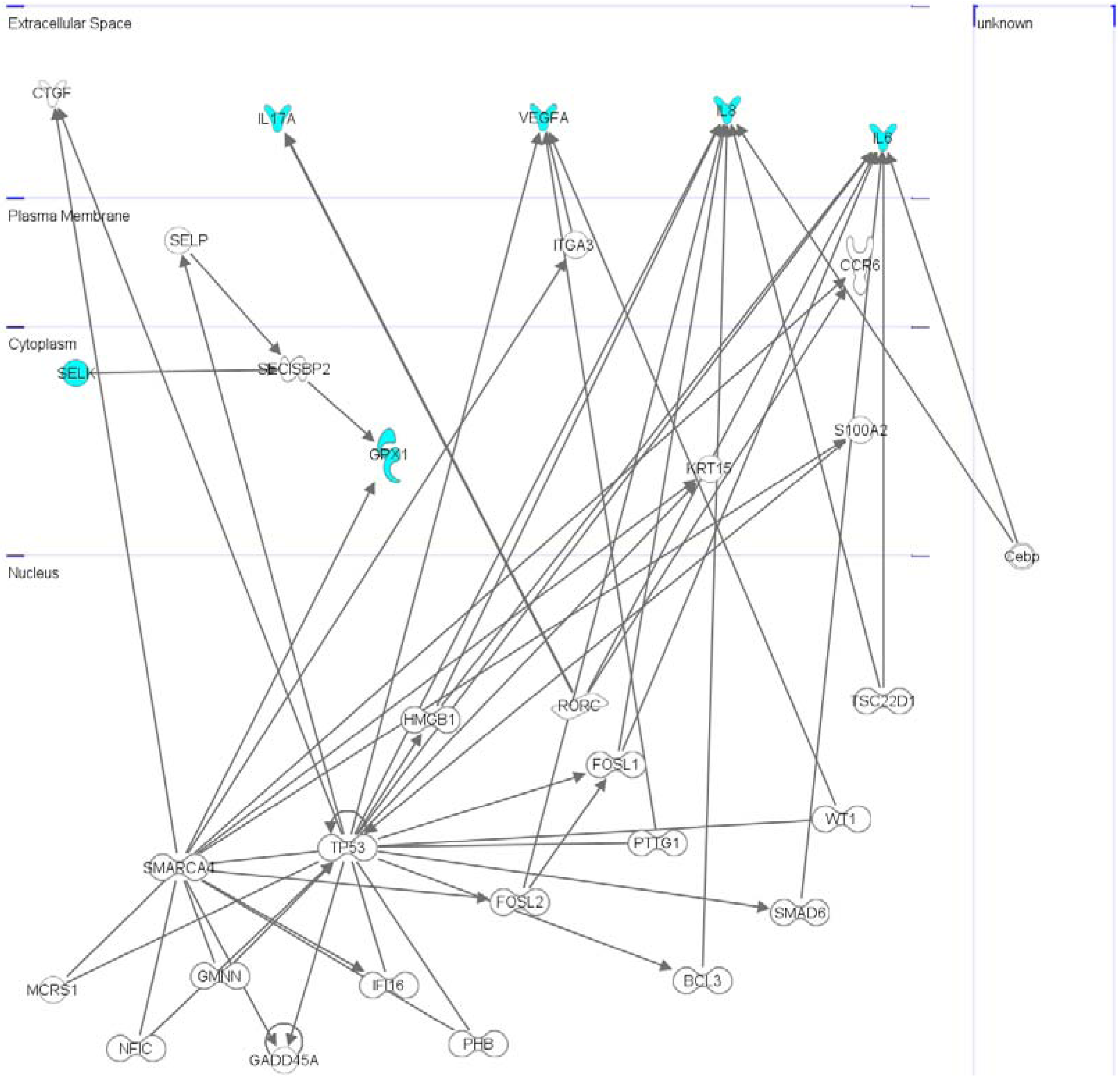 Molecules 18 02549 g006