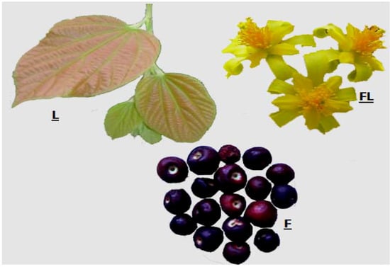 Molecules 18 02663 g001 550