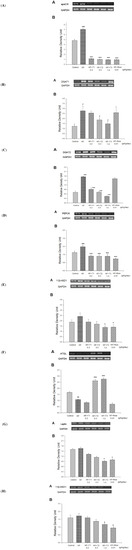 Molecules 18 02726 g004 550