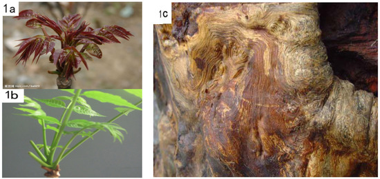 Molecules 18 02840 g001 550