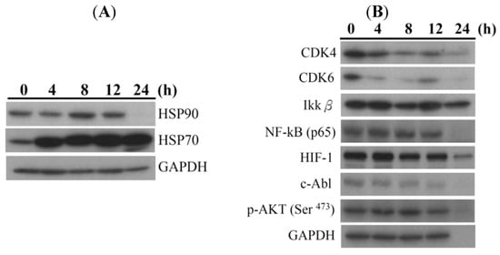 Molecules 18 02924 g004 550