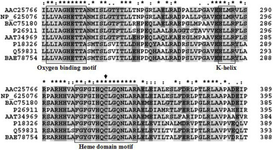 Molecules 18 03028 g001 550