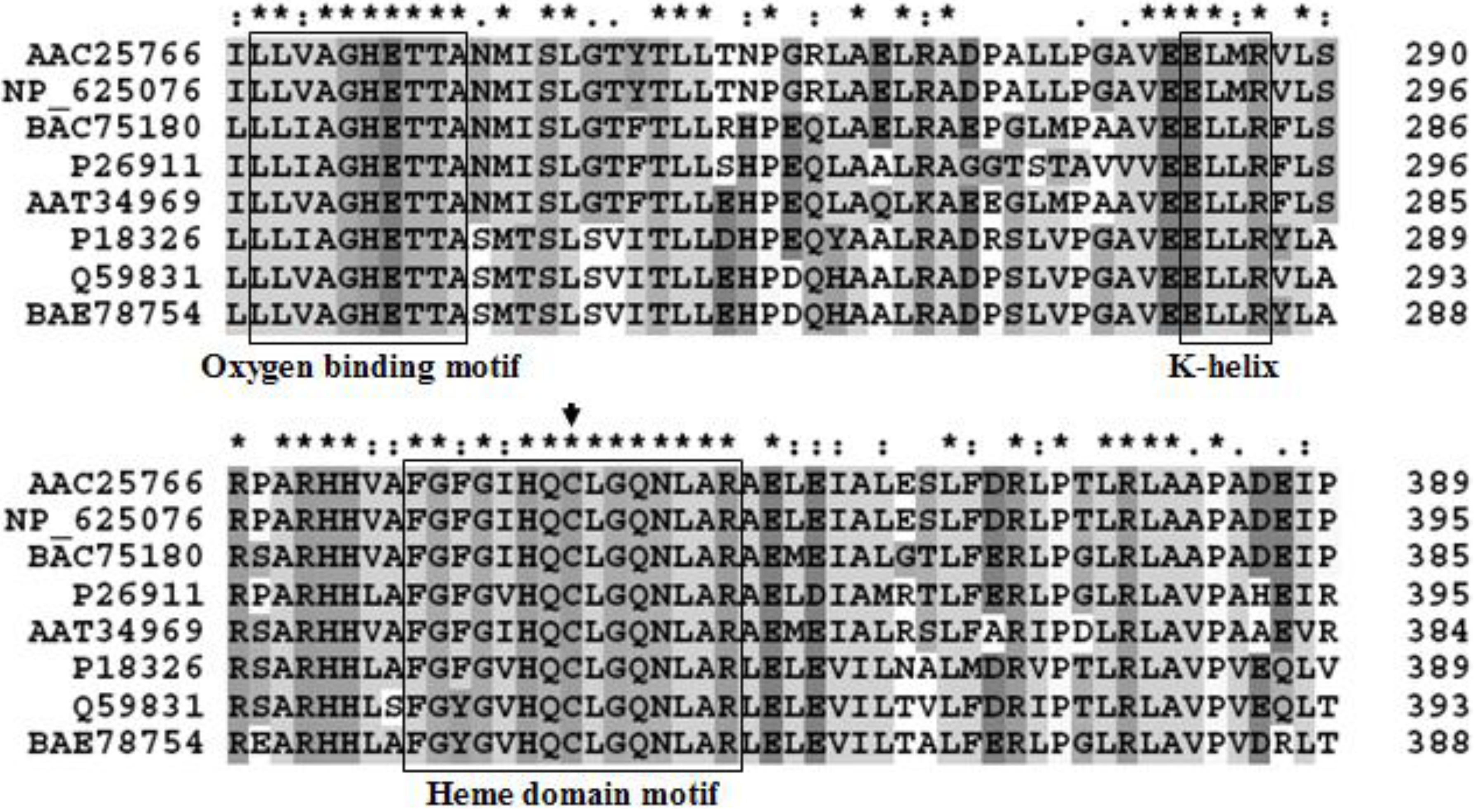 Molecules 18 03028 g001
