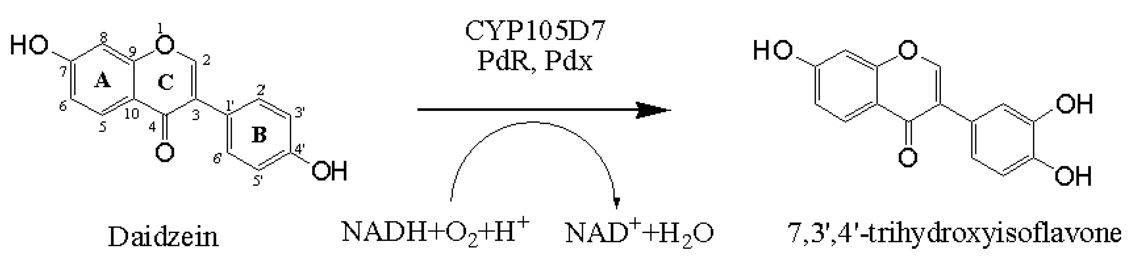Molecules 18 03028 g006