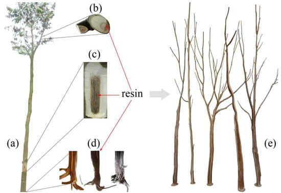 Molecules 18 03086 g001 550
