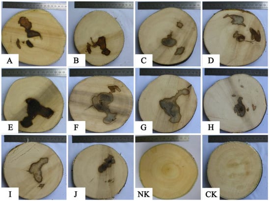 Molecules 18 03086 g003 550