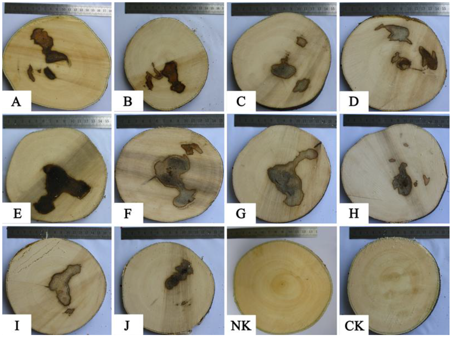 Molecules 18 03086 g003