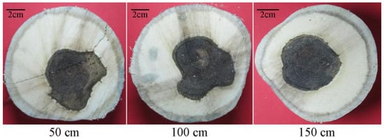 Molecules 18 03086 g005 550