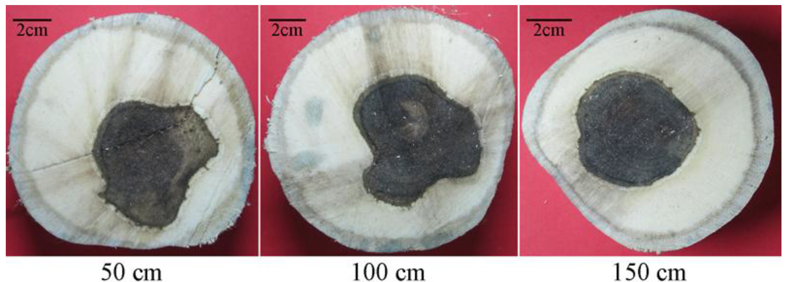 Molecules 18 03086 g005