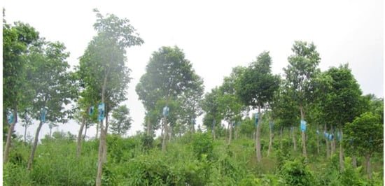 Molecules 18 03086 g009 550