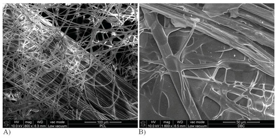 Molecules 18 03118 g008 550