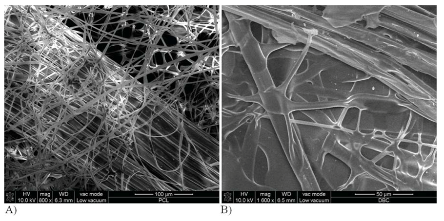Molecules 18 03118 g008