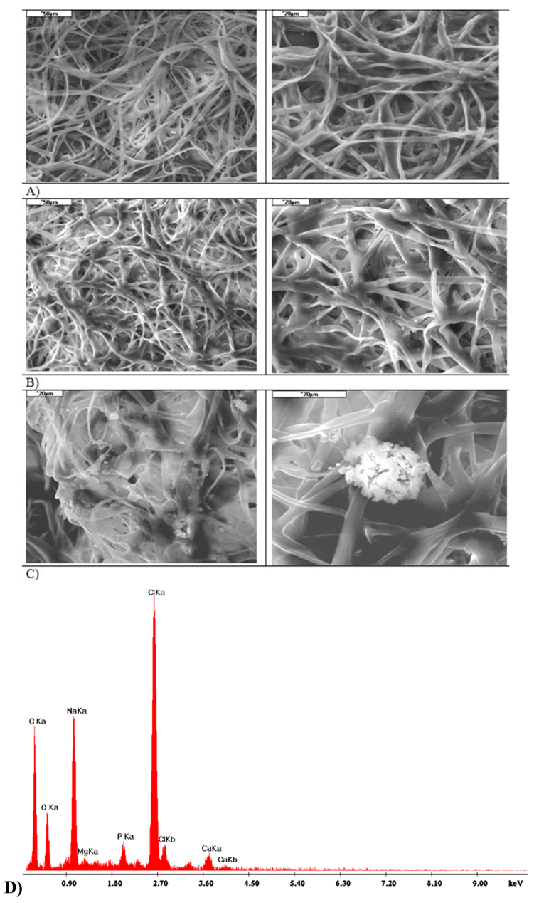 Molecules 18 03118 g009