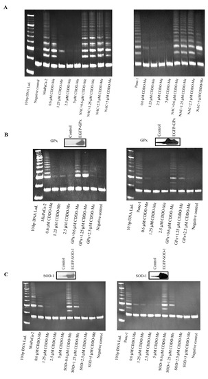 Molecules 18 03250 g003 550