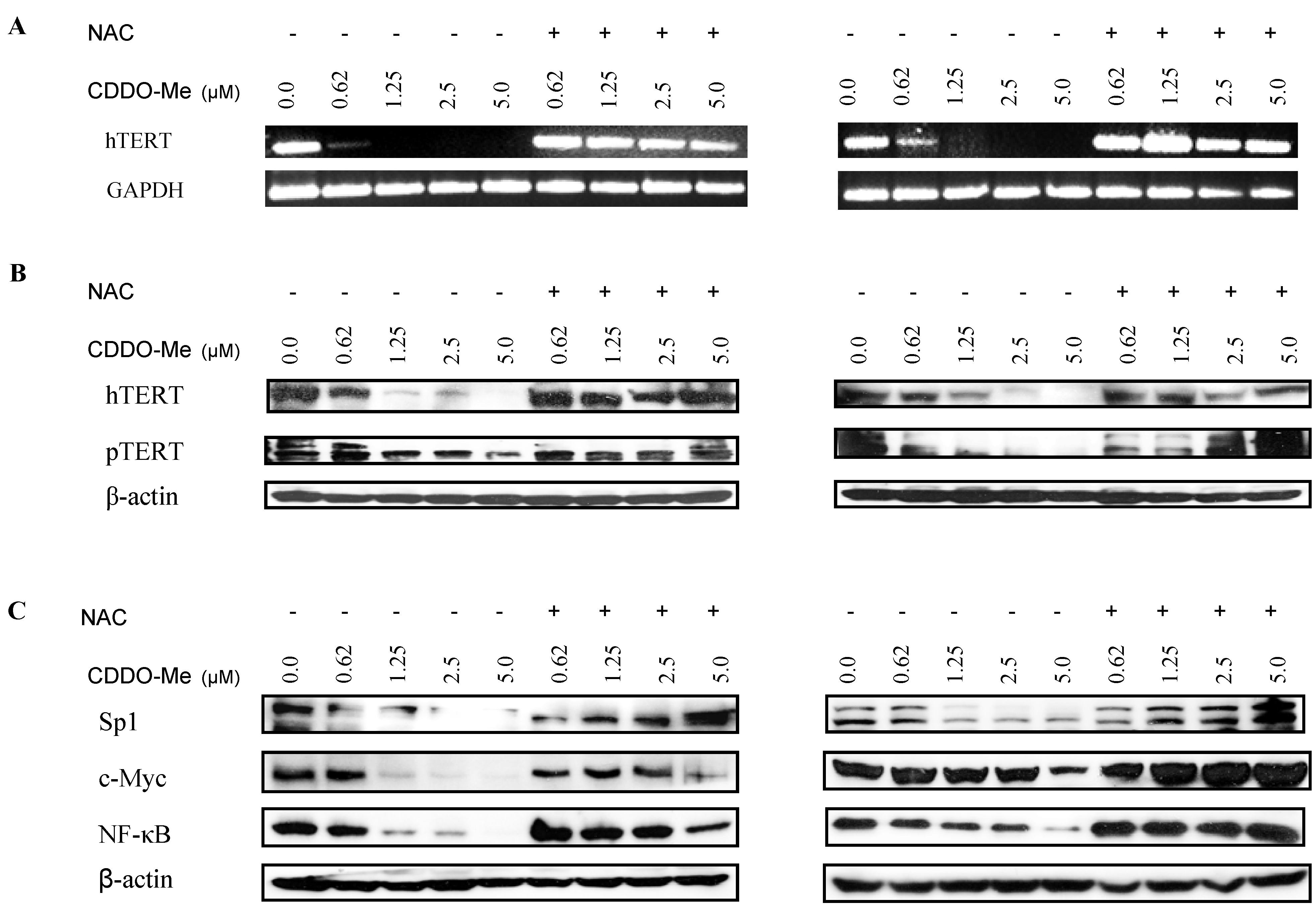 Molecules 18 03250 g004