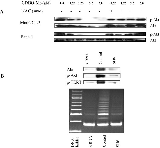 Molecules 18 03250 g005 550