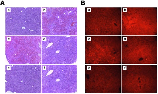 Molecules 18 03467 g004 550