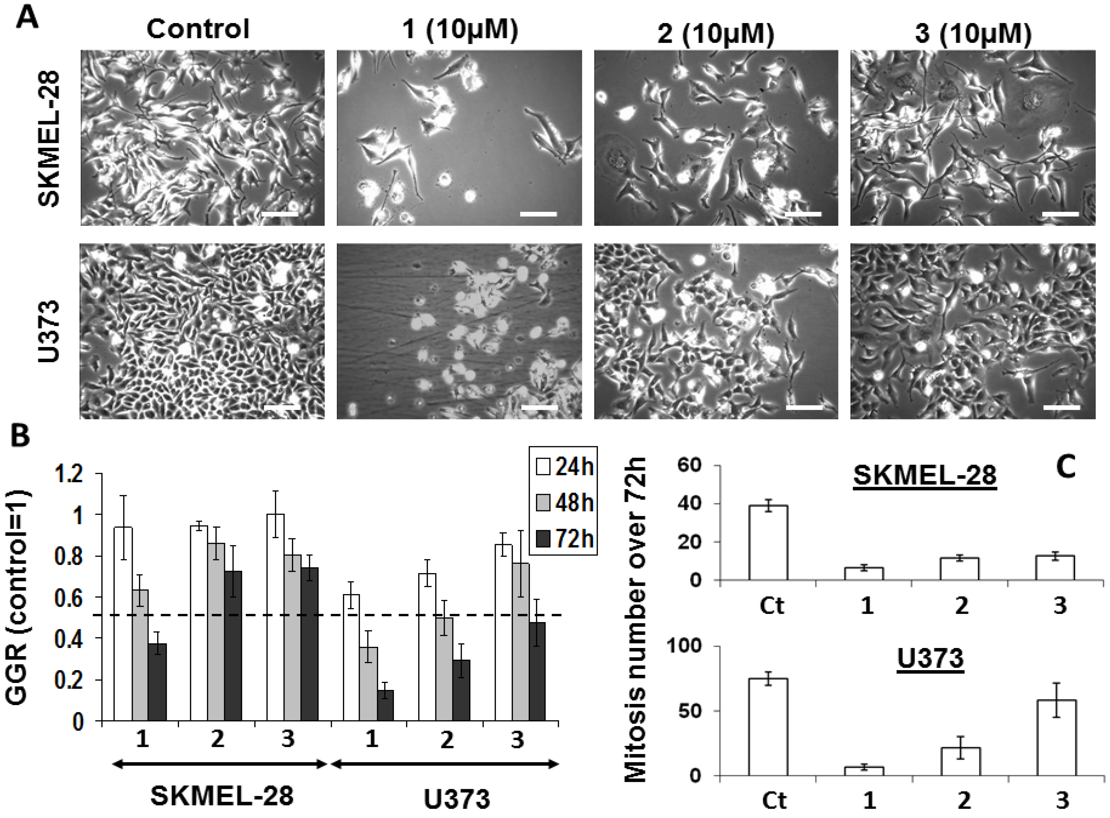 Molecules 18 03543 g002