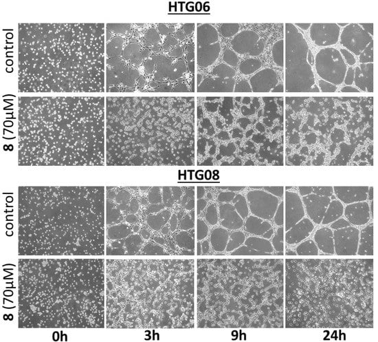 Molecules 18 03543 g004 550