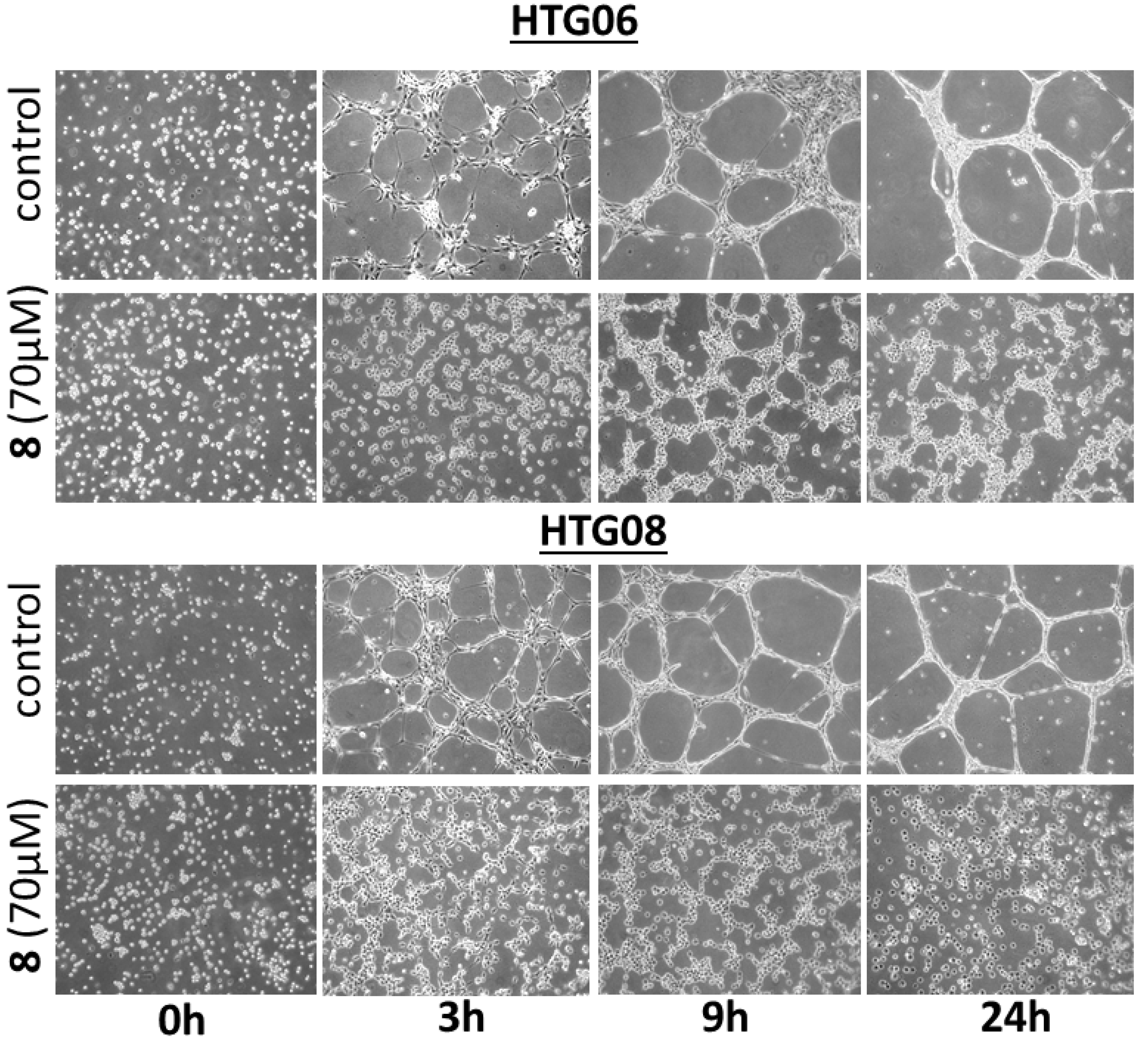 Molecules 18 03543 g004