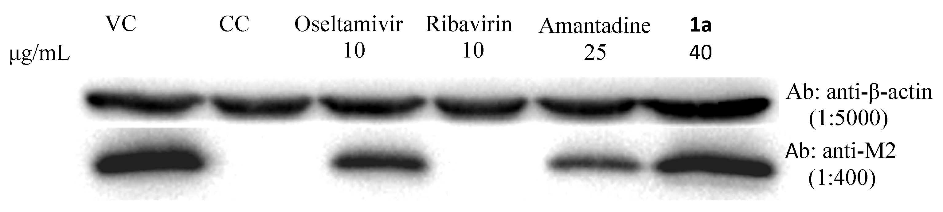 Molecules 18 03789 g003