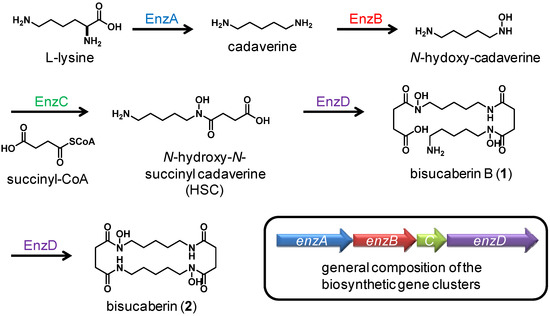 Molecules 18 03917 g005 550