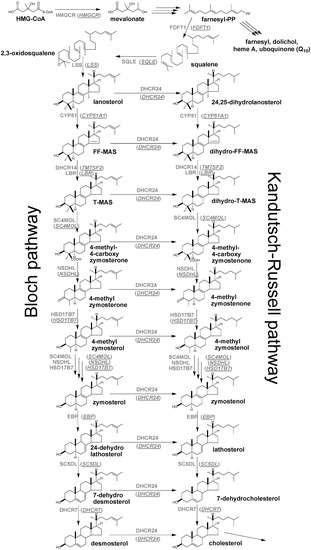Molecules 18 04002 g002 550