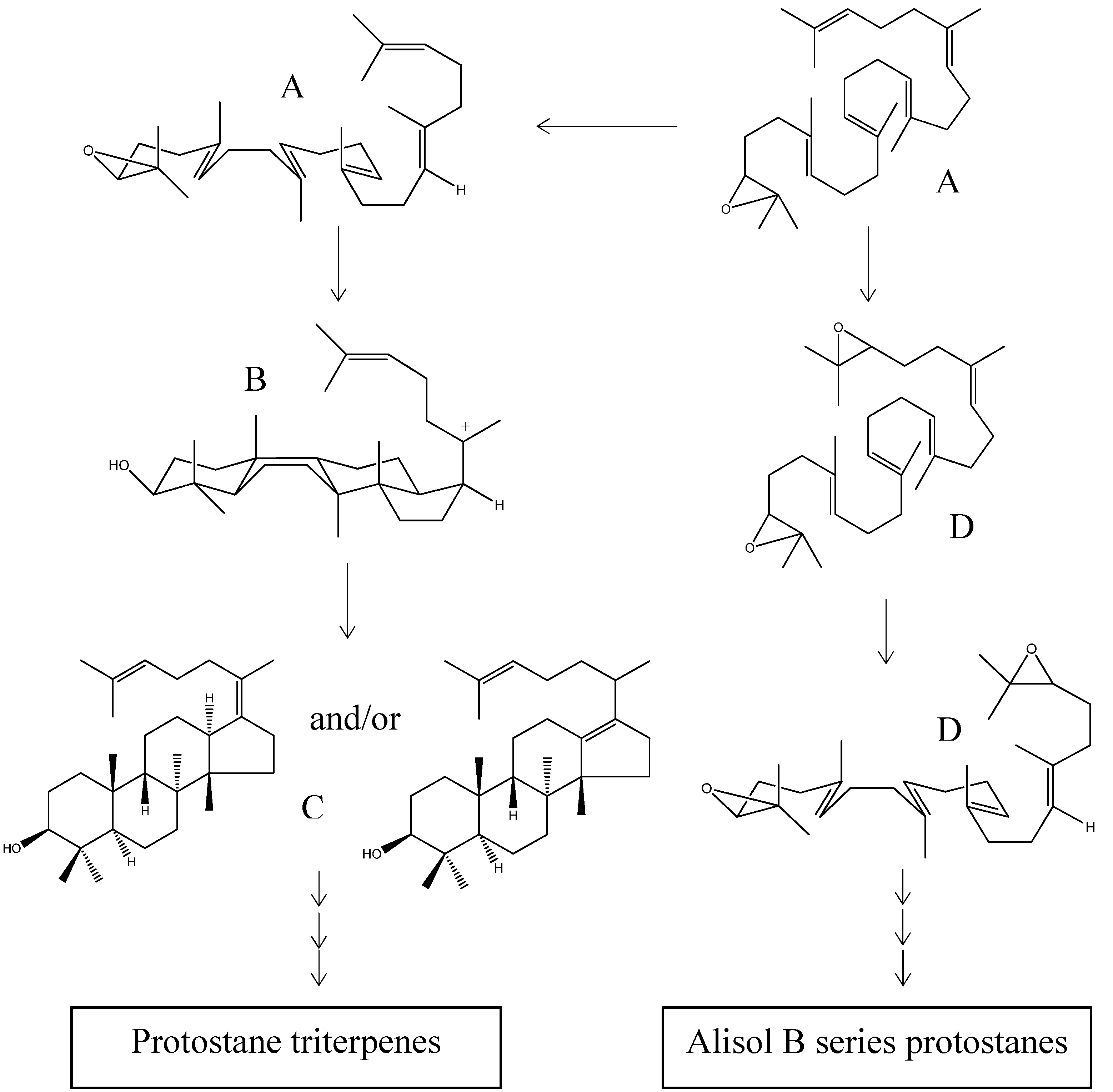 Molecules 18 04054 g009