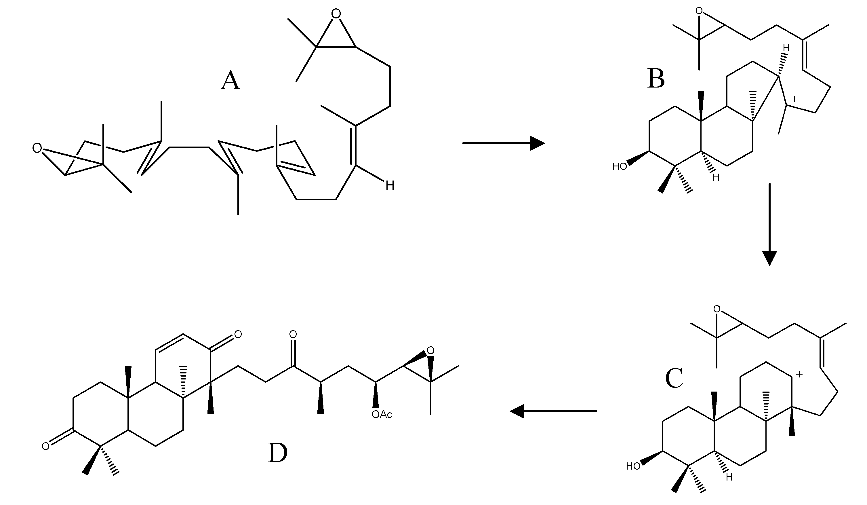 Molecules 18 04054 g011