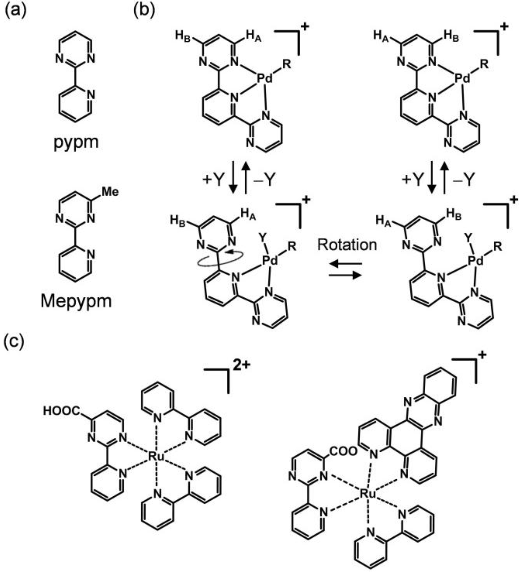 Molecules 18 04091 g001