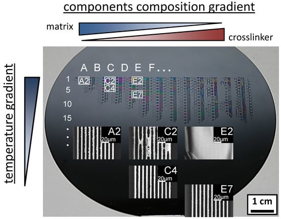 Molecules 18 04120 g008 550