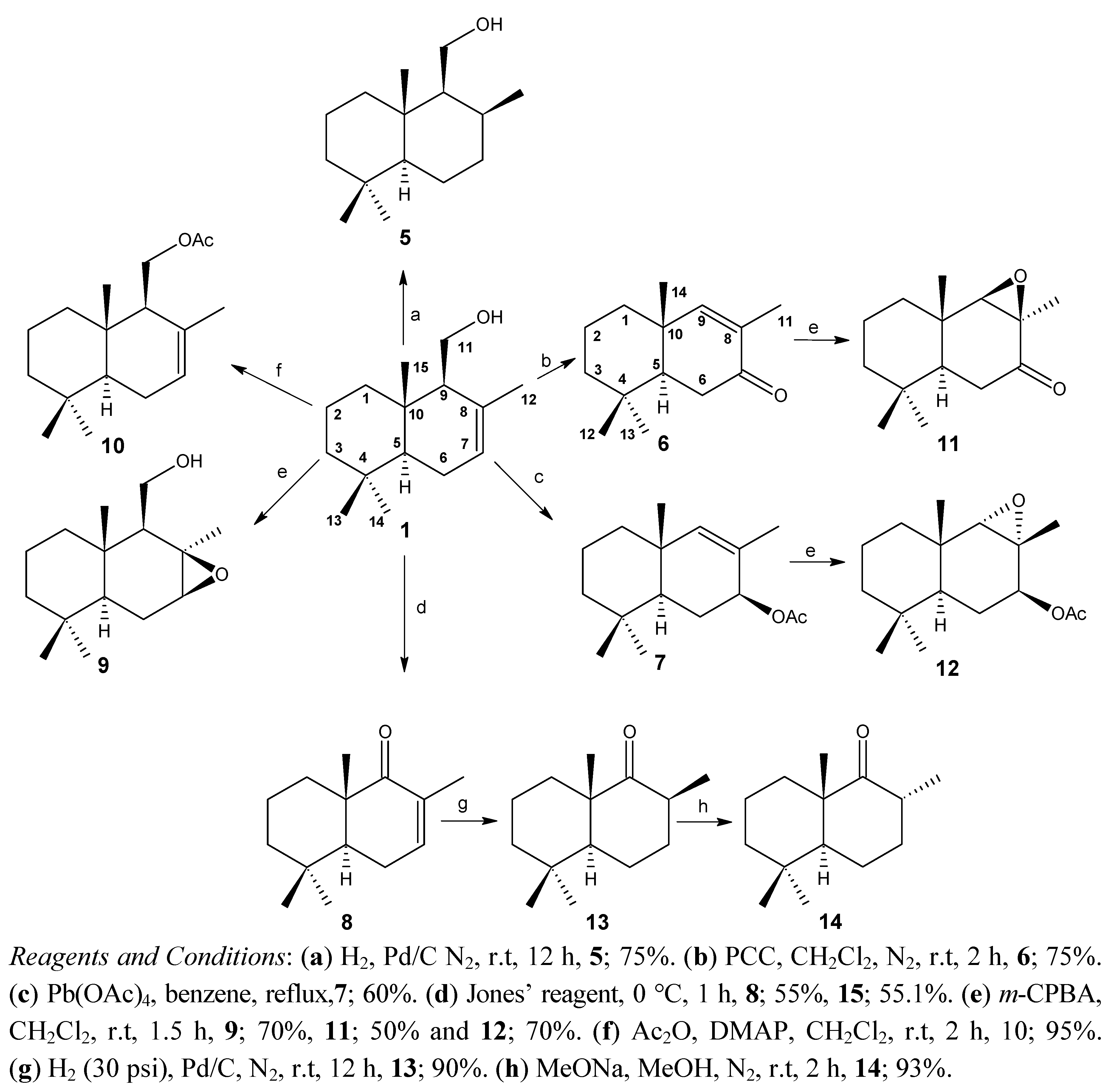 Molecules 18 04192 gscheme1