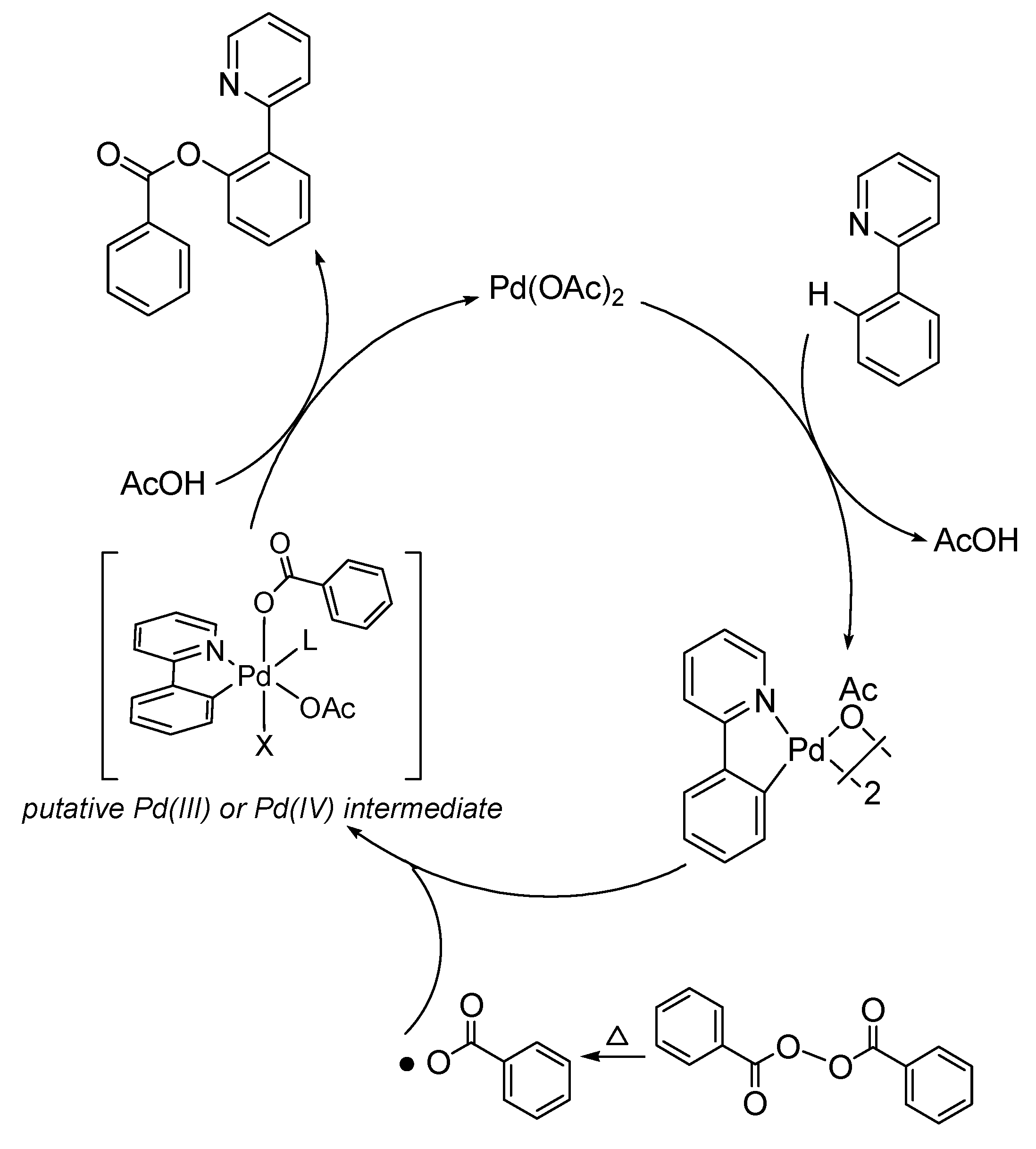 Molecules 18 04403 g003