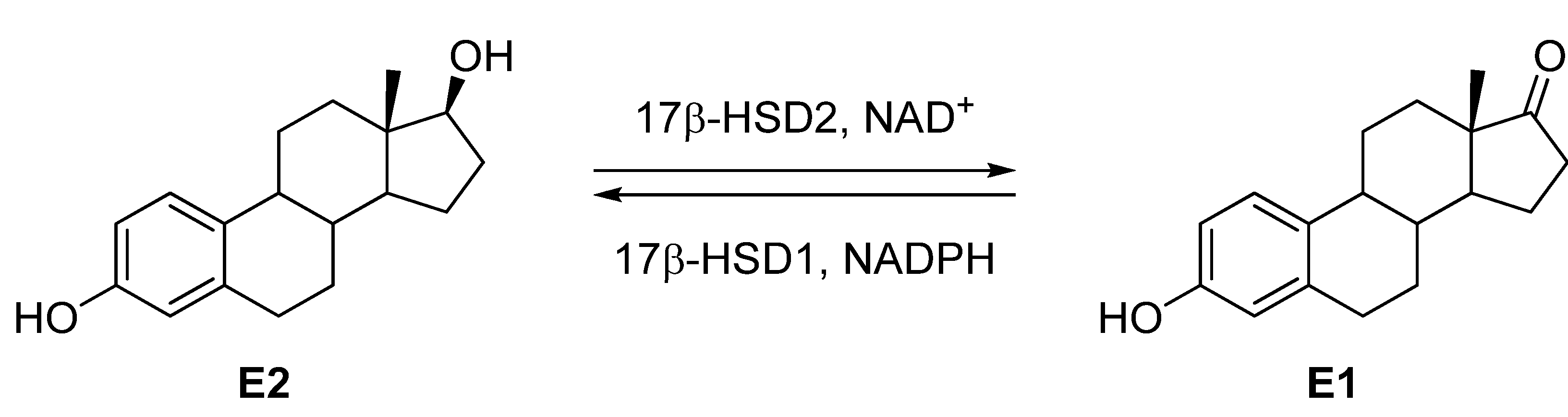 Molecules 18 04487 g001