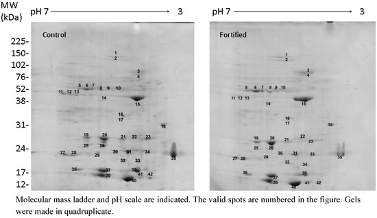 Molecules 18 05221 g002 550