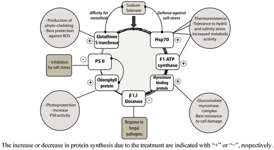 Molecules 18 05221 g003 550