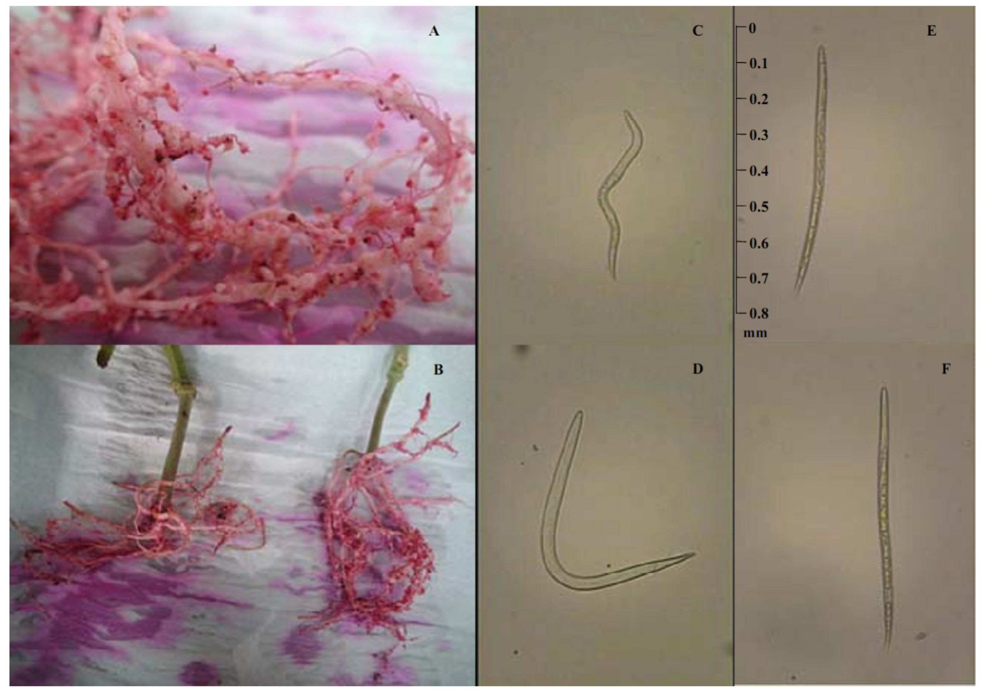 Molecules 18 05306 g002
