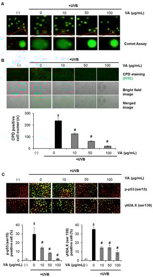 Molecules 18 05405 g003 550