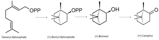 Molecules 18 05434 g003 550