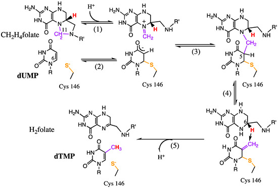 Molecules 18 05543 g008 550