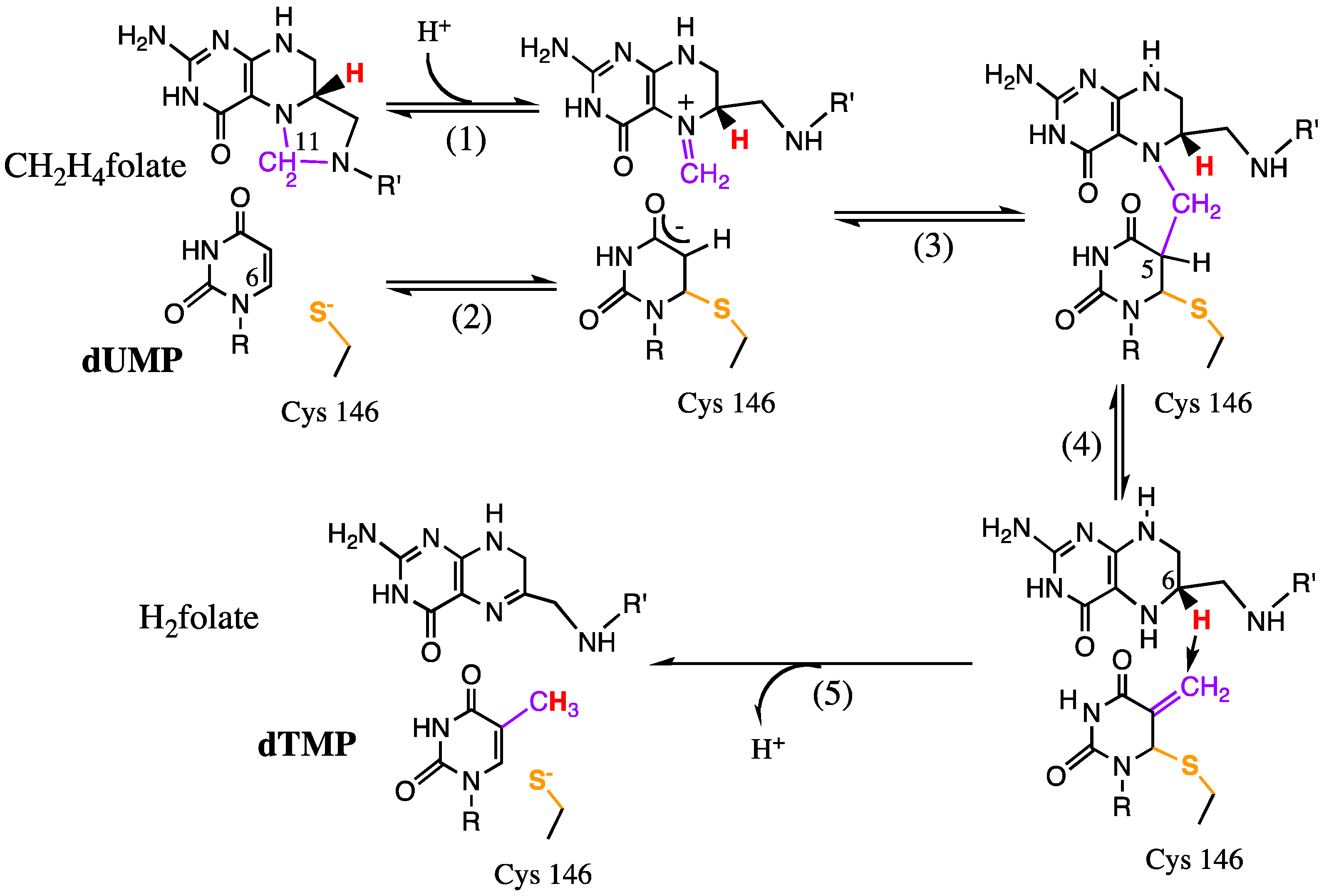 Molecules 18 05543 g008