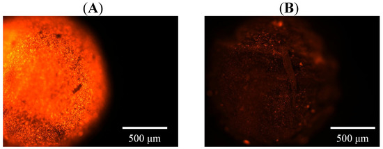 Molecules 18 05749 g006 550