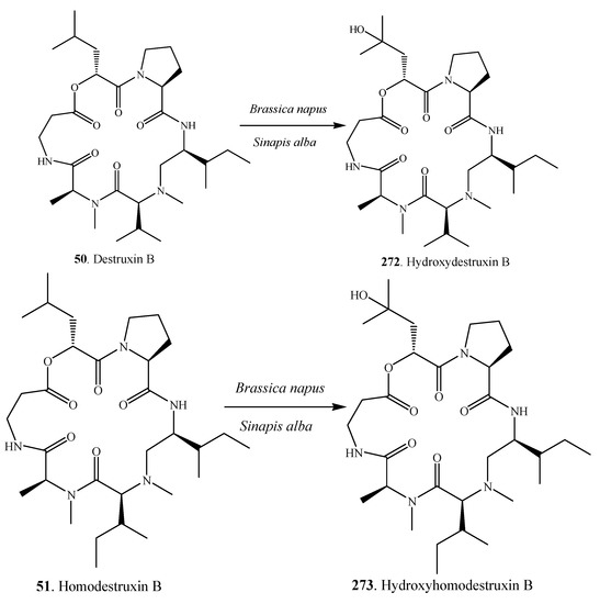 Molecules 18 05891 g016 550