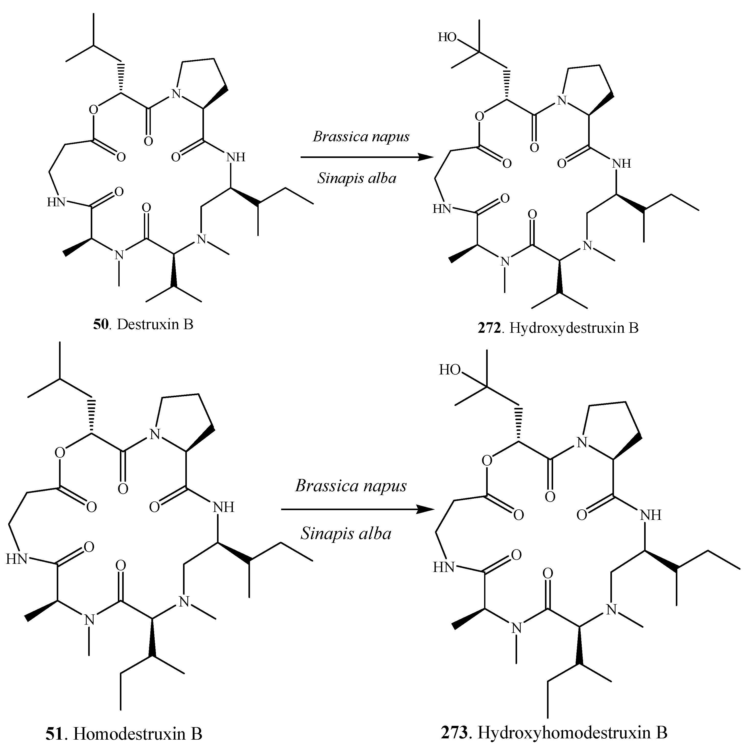 Molecules 18 05891 g016