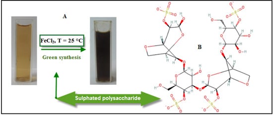 Molecules 18 05954 g001 550