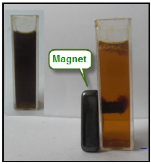 Molecules 18 05954 g008 550