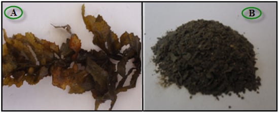 Molecules 18 05954 g009 550