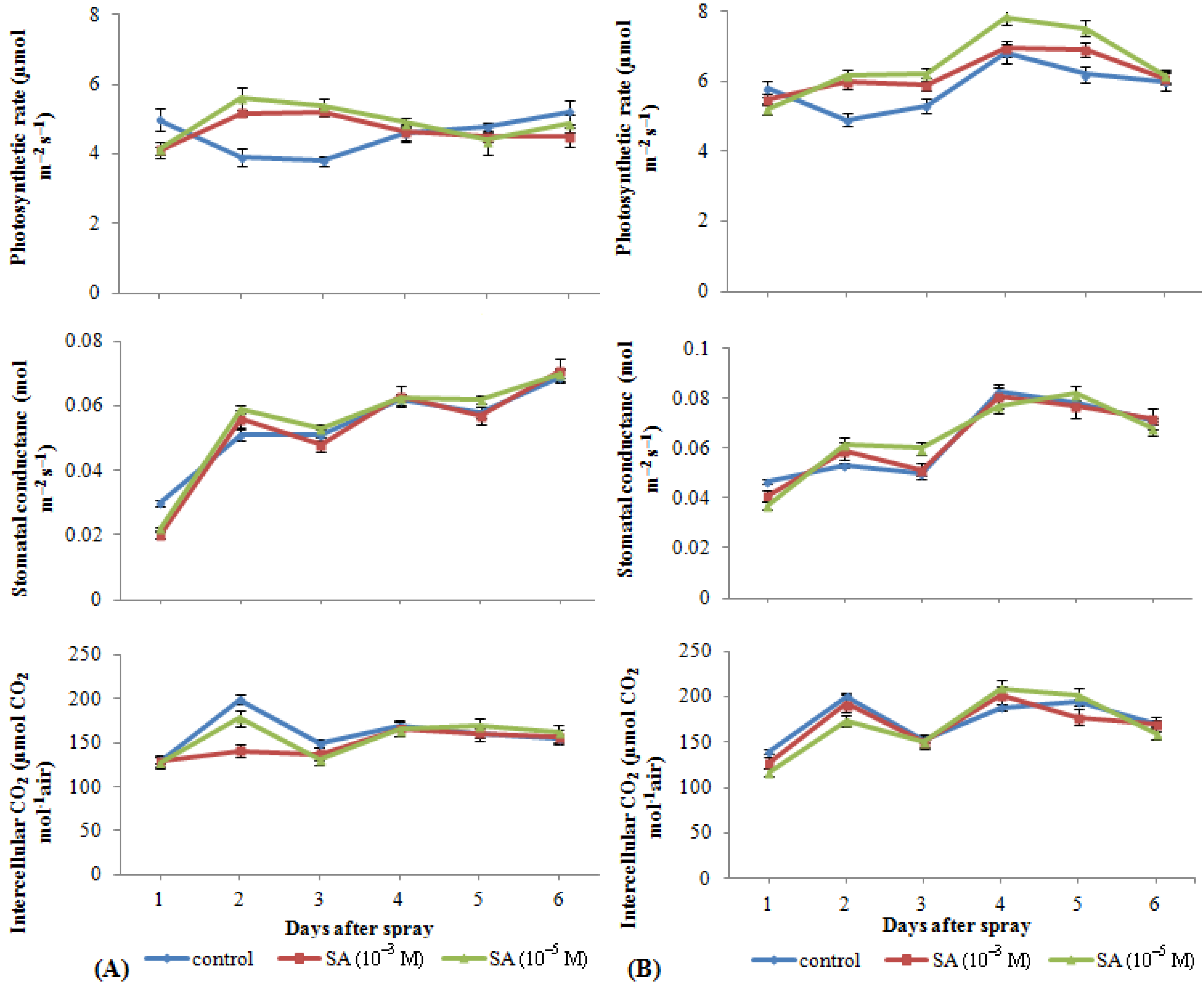 Molecules 18 05965 g001